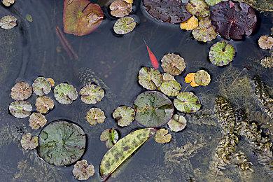 《幻想三国志-天元异事录》公开 试玩版2022年1月推出